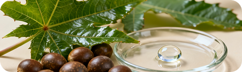 Undecylenic Acid in the Nail Defender formula