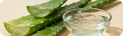 Aloe Leaf Extract in the Nail Defender formula